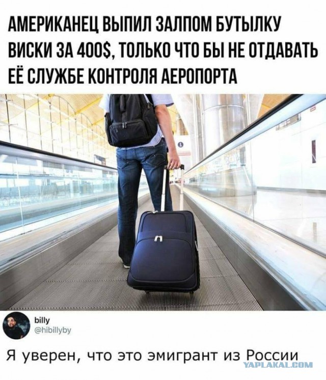 Анекдоты, соц-сети и картинки с надписями