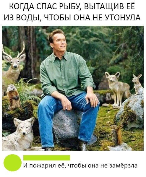 Анекдоты, истории и картинки с надписями