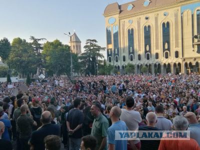 В Тбилиси напали на съёмочную группу «России 24»