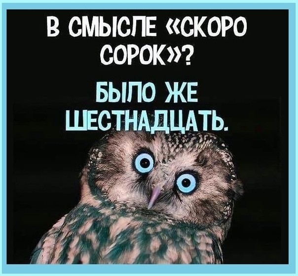 Женщины стали смелее и напористей