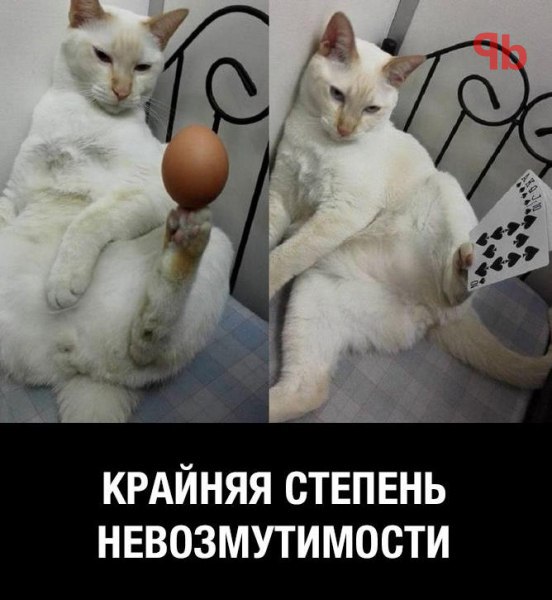 Немного картинок для настроения