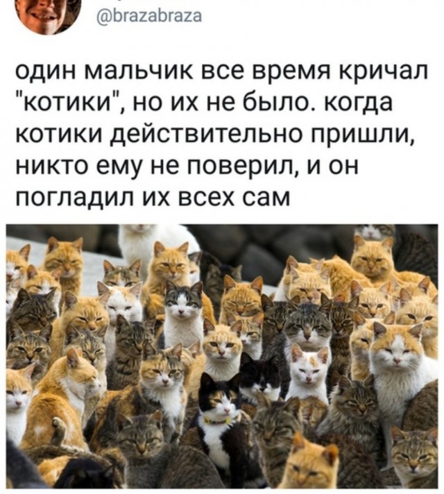 Разведенные женщины ищут мужчин!