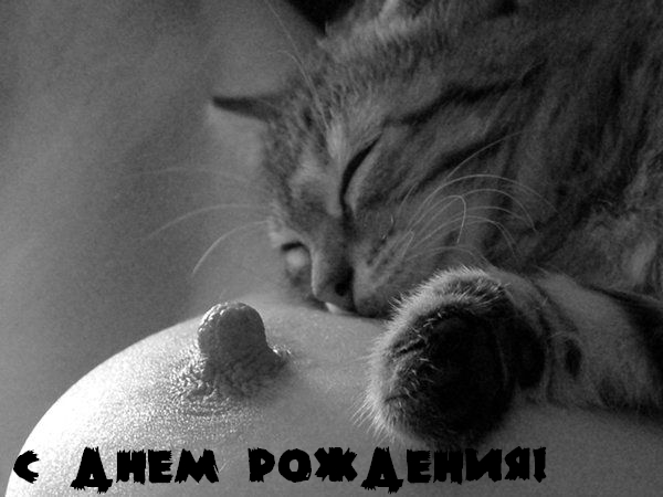 7  лет сайту ЯПлакалъ!