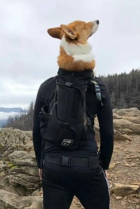 Бредзона