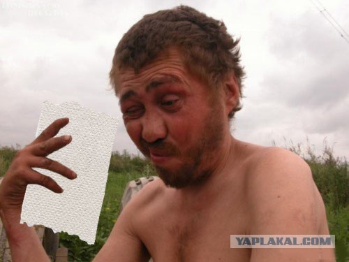Фотожаба: Сделаем туалетную бумагу лучше!