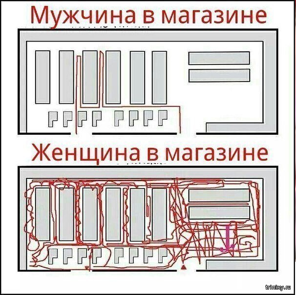 Магазины, которые отличаются от всех остальных своей неповторимой изюминкой