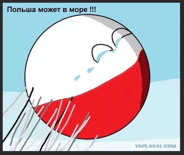 Красиво идут. Демонстрация мощи польского военно-морского флота у границ РФ