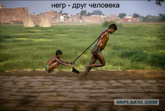 Фотожаба: Это не санки!