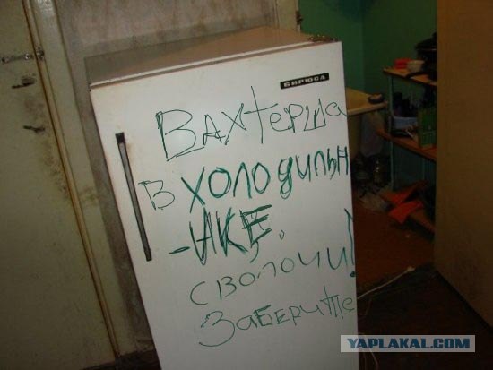Холодильник в общаге