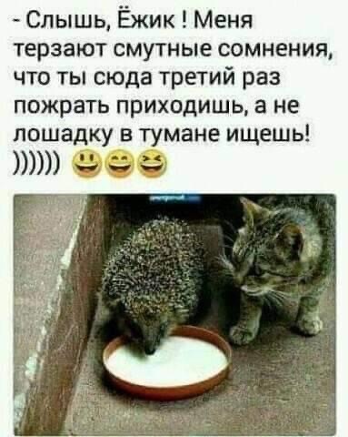 Картинки всякие, 27.08.2020