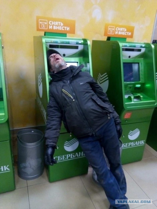 Скотсети и прочие интернеты 16.11.2020