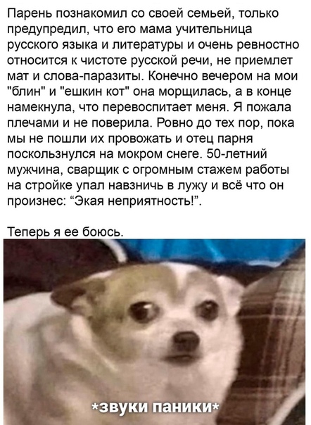 Прикольные и просто красивые картинки 19.11.2020