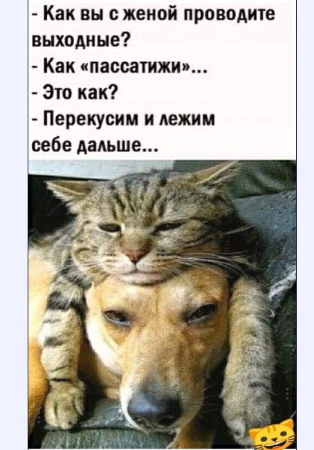 С наступающим! Картинки и мемы для настроения 031