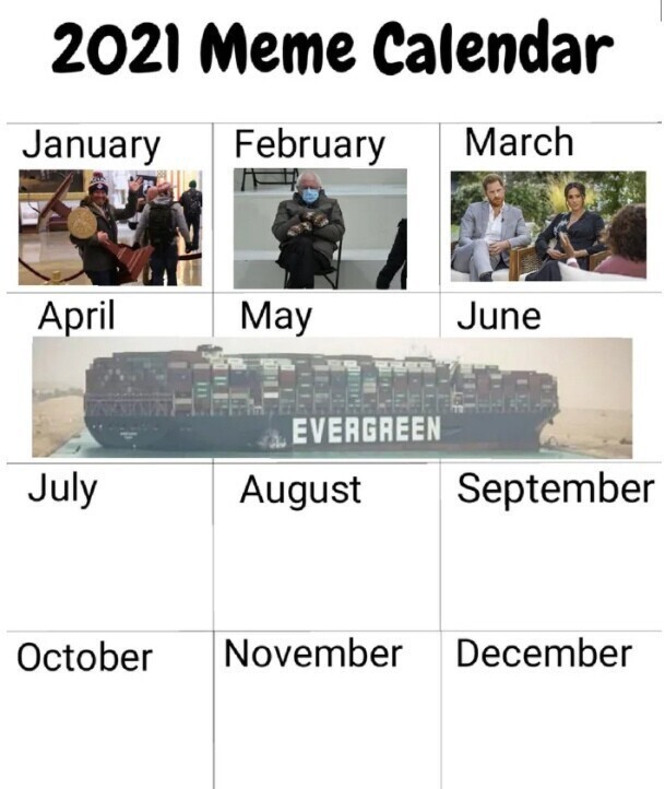 15398574.jpg