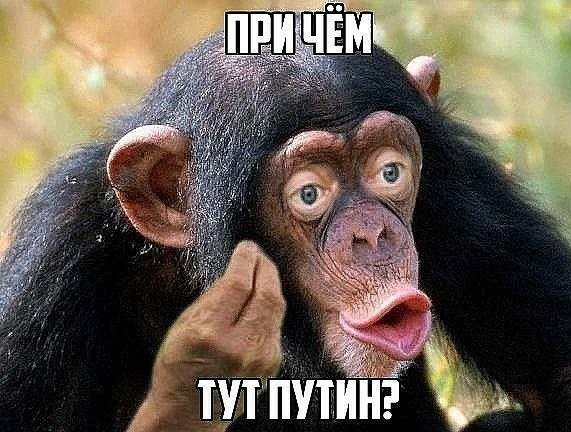 Зачем ЕС стреляет себе в ногу?