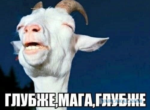 Полиция ищет танцоров лезгинки на крыше «семерки» в центре Новосибирска