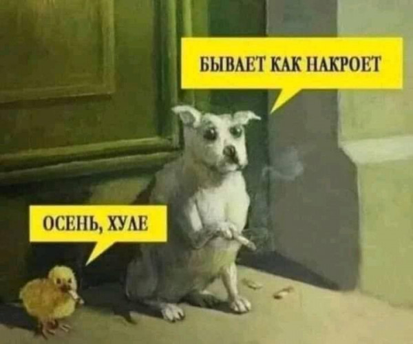 Всяческие картинки