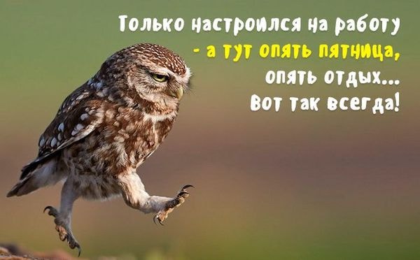 Алкобаяны на пятницу