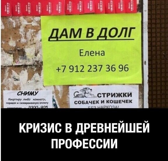 Баянисто-небаянистый юмор 4.11.21
