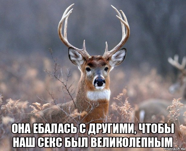 Исповедь рогоносца