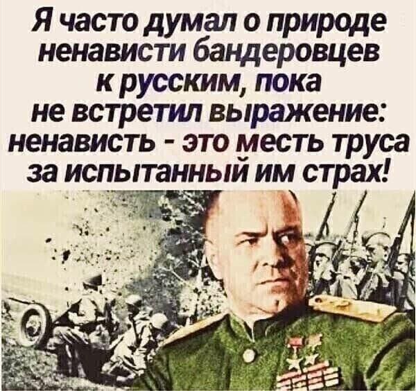 Давайте уже заканчивать пропаганду про "братский народ".
