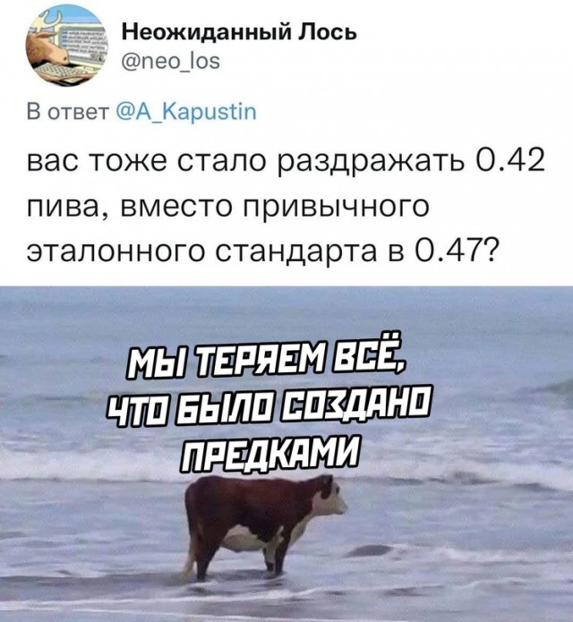 Картинки и мемы для настроения - 21