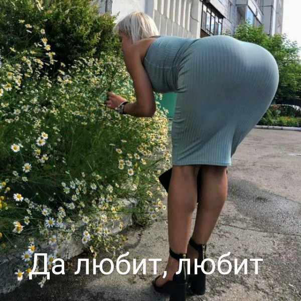 Немного картинок."Колбасный ветер". Август