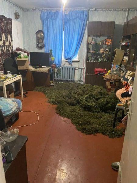 Забавный случай в Белгородской области