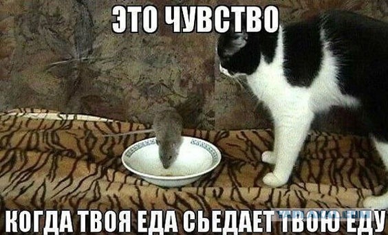 Так себе картинки 10.01.23