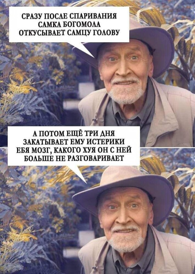 Немного картинок для настроения - 161