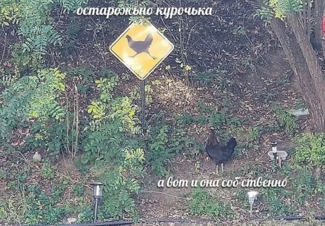 Всего понемногу. От 02.10.23
