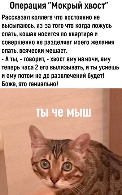 Всякая смешная фигня
