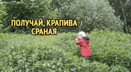 25-летнюю учительницу из Ленобласти обвинили в сексуальных домогательствах к ученику 4 класса.