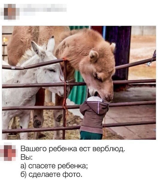 Прикольные комменты и картинки