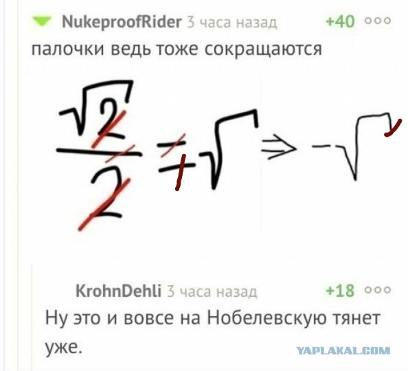 Весёлый полтишок 22.04.24