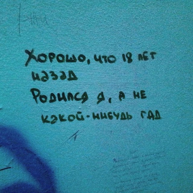 Перлы 04.06.24