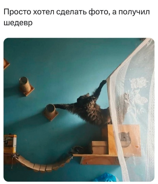 Так себе картинки 11.03.25
