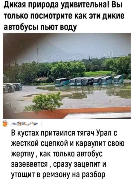Завалялось тут случайно немного забавных картинок