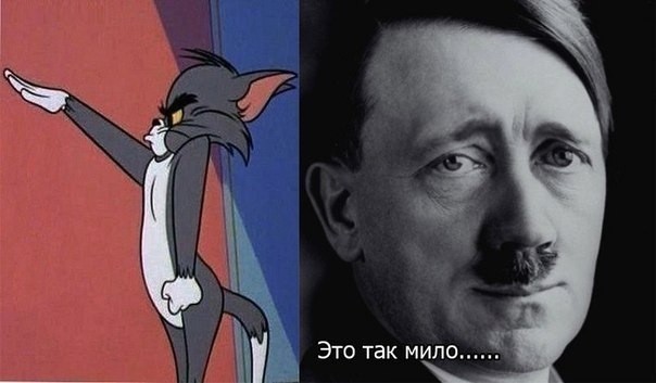 Необычный красавец!