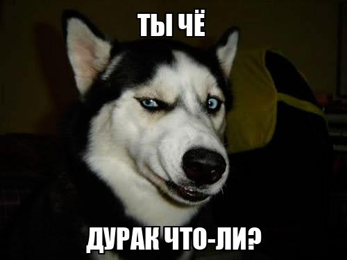 В Караганде нашли подростка, который оставлял кирпичи на краях крыш