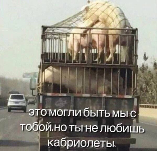 Спустя два стакана