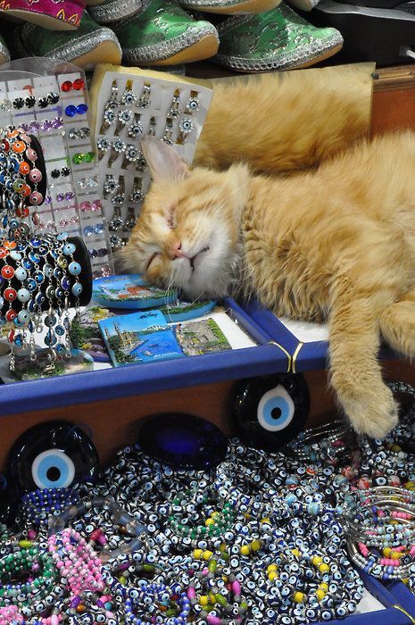 Прикольные и просто красивые картинки 18.11.2025