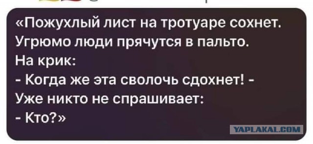Путин поручил увеличить сбор налогов в 2026 году через "обеление"