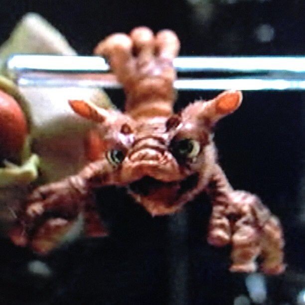 Сигнал с глубины океанов двигался со скоростью 370 км/ч. Что зафиксировали датчики