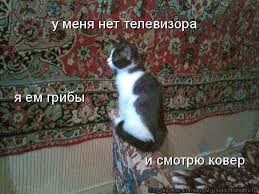 Псилоцибин против табака
