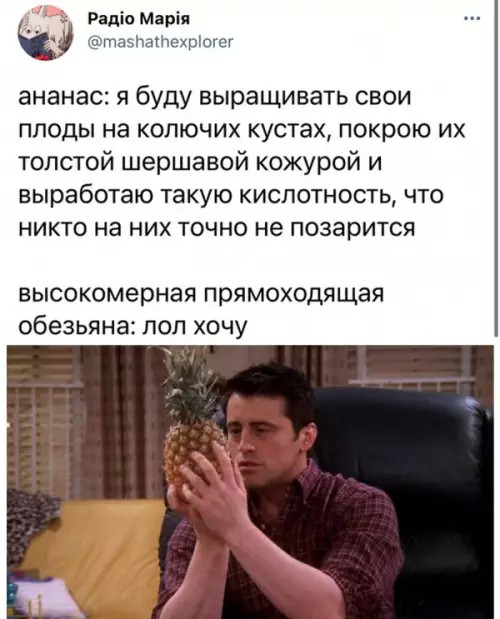 Картиночки, баянчики 11 апреля