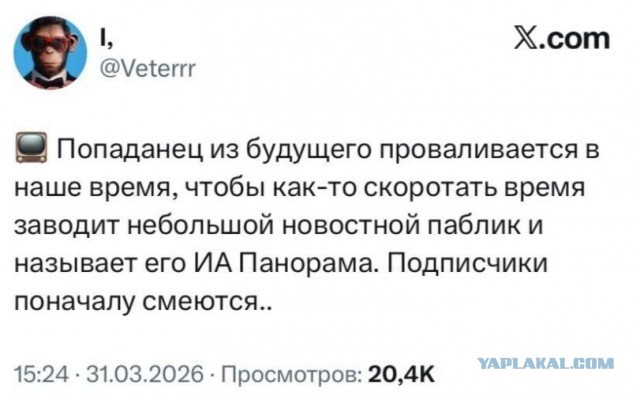 «Теперь власти не разрешают собирать ежевику и перекладывать камни»