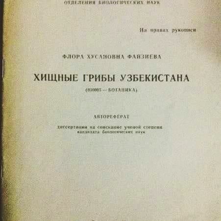 Картинки для деградации 192 (разной степени свежести)
