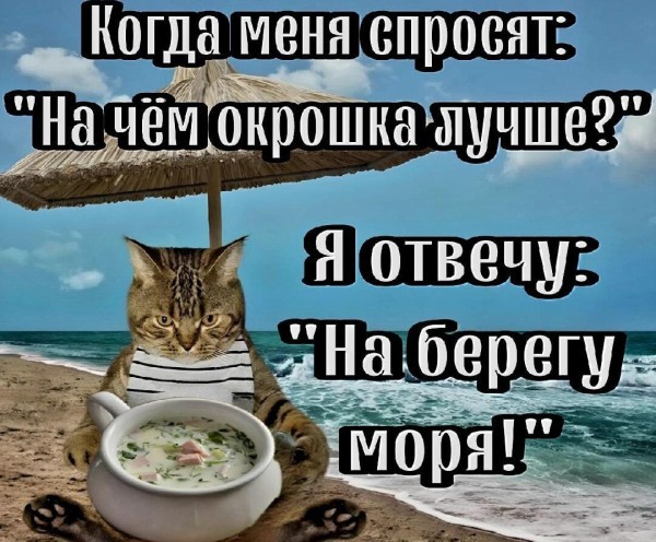 мемчики