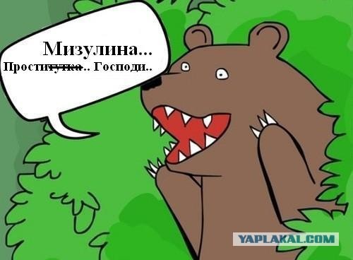 По факту оскорблений в Интернете Мизулиной